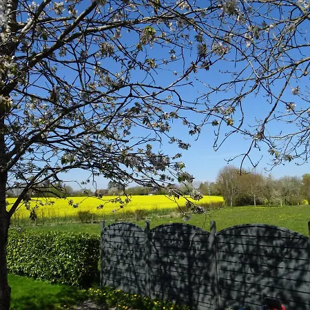 Apartment Hofwohnung