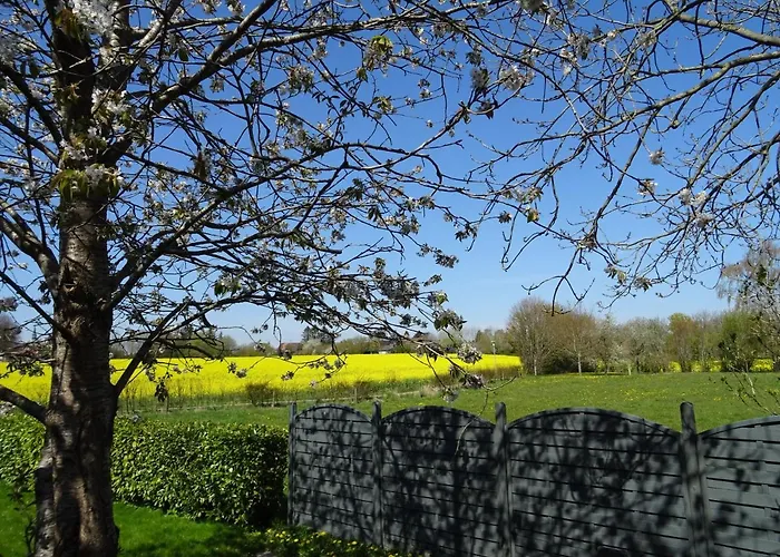 아파트 Hofwohnung